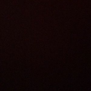 Meet your Posher, Jerry